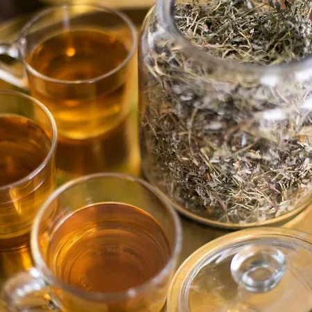 Osrodek Wypoczynkowy Balt-tur Feel Well Resort Jastrzębia Góra