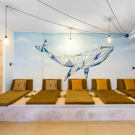 Osrodek Wypoczynkowy Balt-tur Feel Well Jastrzębia Góra