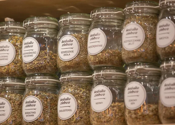 Semesteranläggning (resort) Osrodek Wypoczynkowy Balt-tur Feel Well *