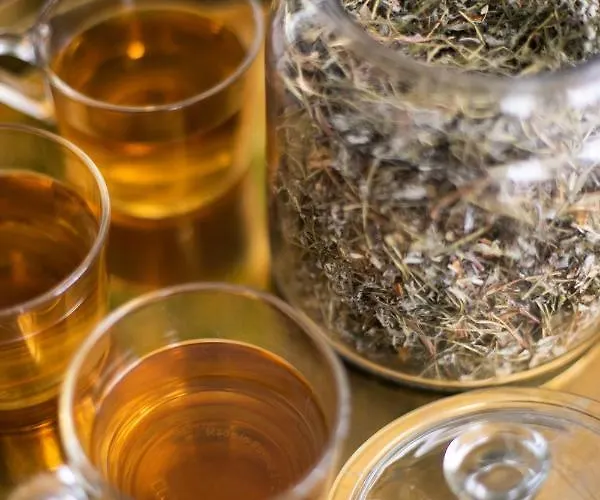 Osrodek Wypoczynkowy Balt-tur Feel Well منتجع Jastrzębia Góra