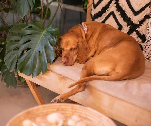 Osrodek Wypoczynkowy Balt-tur Feel Well * Jastrzębia Góra